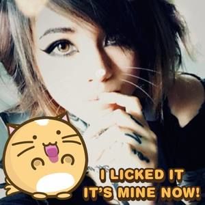 Meet your Posher, Zephy